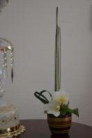 /album/asztaldiszek/asztali1-jpg/